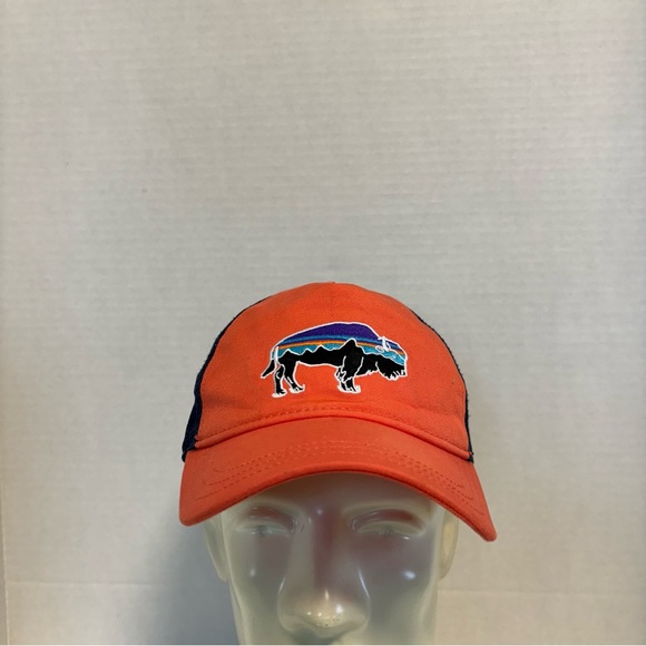 Patagonia Snapback Fitz Roy Bison Mesh Trucker Hat Spring Pink & Blue Unisex - Picture 2 of 9